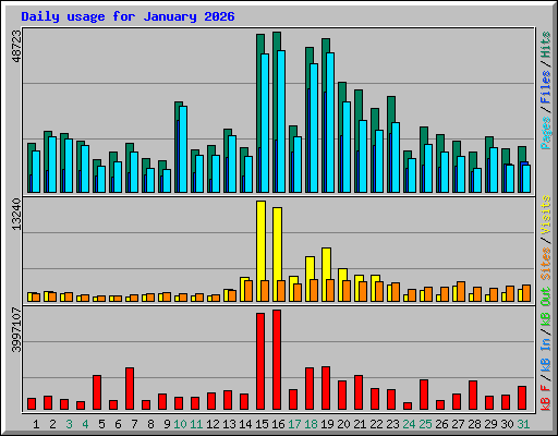 Daily usage for January 2026