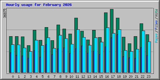 Hourly usage for February 2026