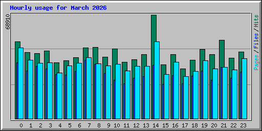 Hourly usage for March 2026